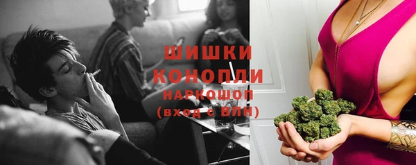 шишки Алзамай